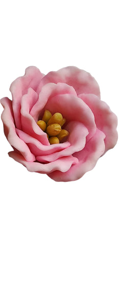 FREZIA MOLD