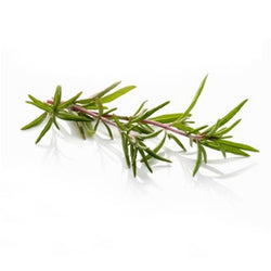 ROSEMARY FLORAL WATER 500 ml