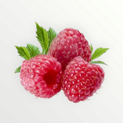 RASPBERRY EXTRACT 30gr