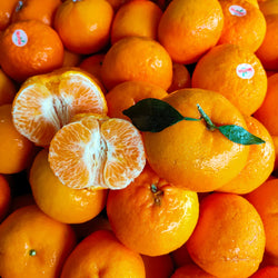 MANDARINE FANTASY