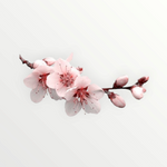 SICILIAN ALMOND