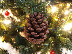 CLASSIC CHRISTMAS TREE AROMA