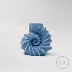 AMMONITE MOLD