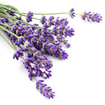 LAVENDER ESSENTIAL OIL