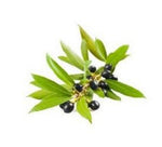 LAULER OIL 100 gr