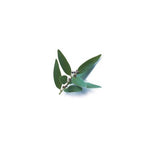 LAUREL ESSENTIAL OIL 10ml