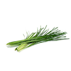 VETIVER ESSENTIAL OIL 10ml