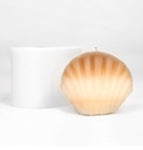 CLAMSHELL BIG