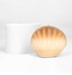 CLAMSHELL BIG
