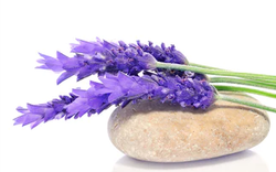 LEVANDA & GLYCORIZA AROMA