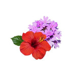 VERBENA & HIBISCUS